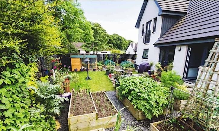 Discover Urban Homesteading:Lessons from a Hopeful, Busy Pseudo-Homesteader, 12 February | Event in Murray