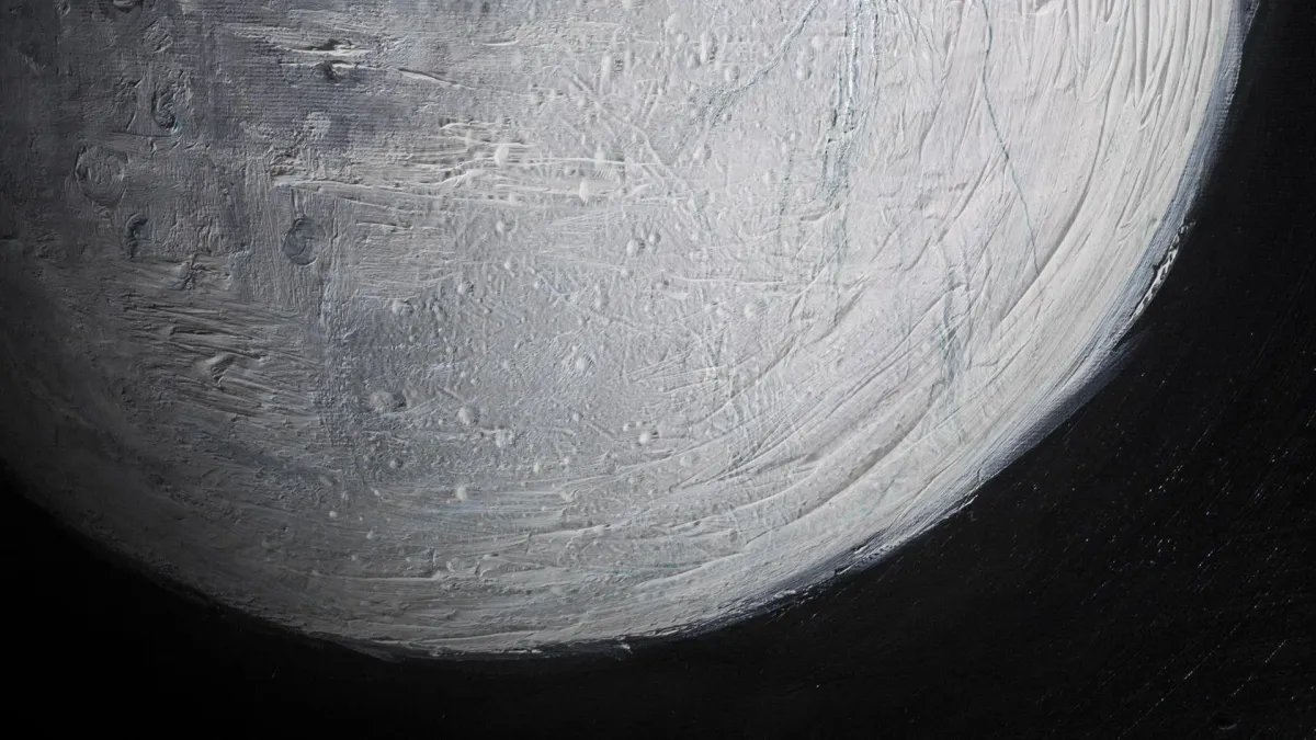 Canozan in İstanbul, 21 December | Event in Istanbul | AllEvents