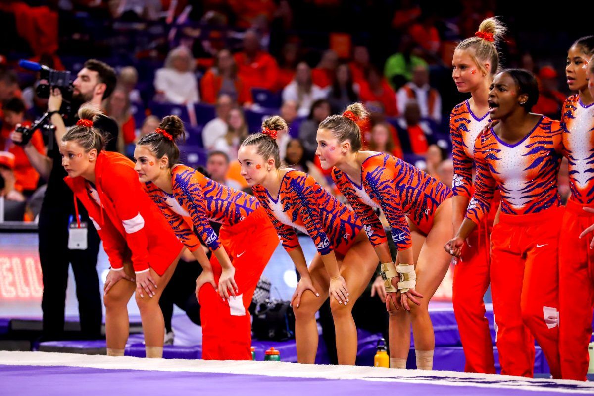 California Golden Bears at Clemson Tigers Womens Gymnastics at Littlejohn Coliseum, 7 February | Event in Clemson