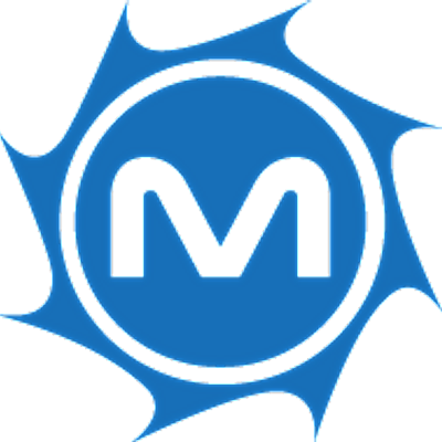 MetroStar Systems, Inc.