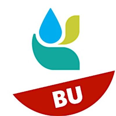 BU Institute for Global Sustainability logo