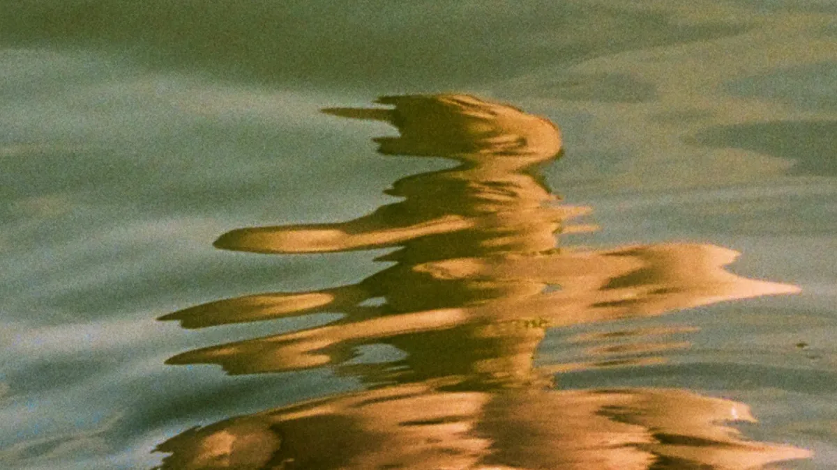 Damien Dempsey in Co. Mayo, 1 May | Event in Castlebar | AllEvents