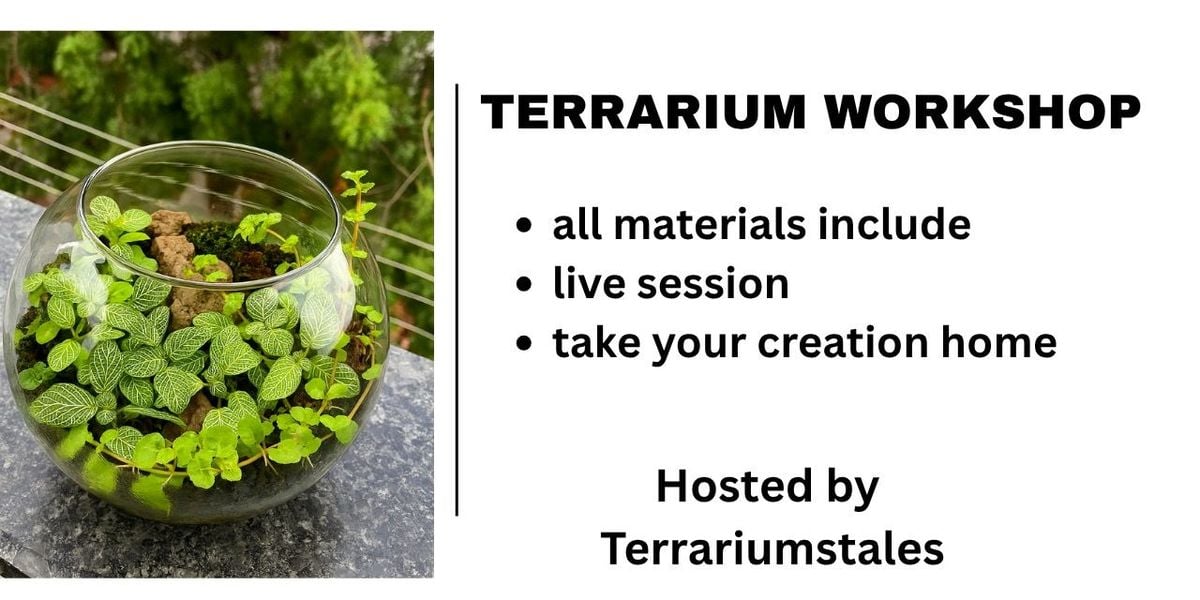 TERRARIUM WORKSHOP, 3 August | Event in Secunderabad | AllEvents