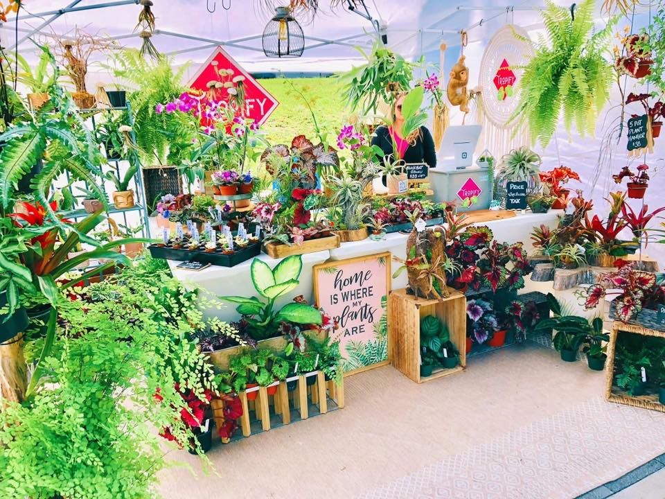 Tropify Heathrow Lake Mary Art Festival, Colonial TownPark, Lake Mary