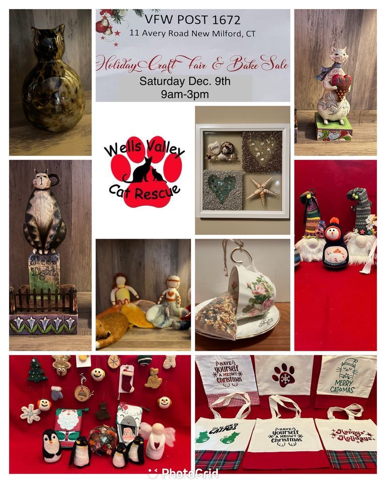 Holiday Craft Fair and Bake Sale Hosted by NM VFW, New Milford Vfw, 9