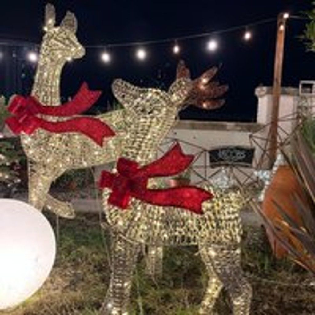 Rooftop coffee shop serving mulled wine and mince pies!, 18 December | Event in Cardiff | AllEvents