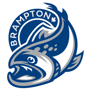 Brampton Steelheads at Flint Firebirds at Dort Financial Center