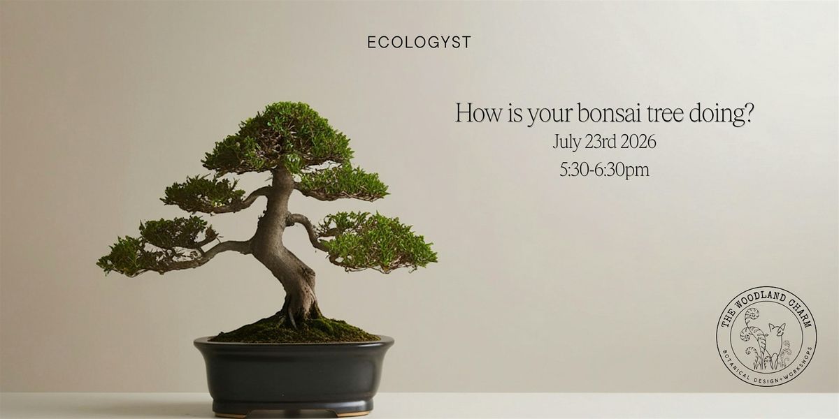 How is your Bonsai Tree doing? — A free seminar for Bonsai beginners