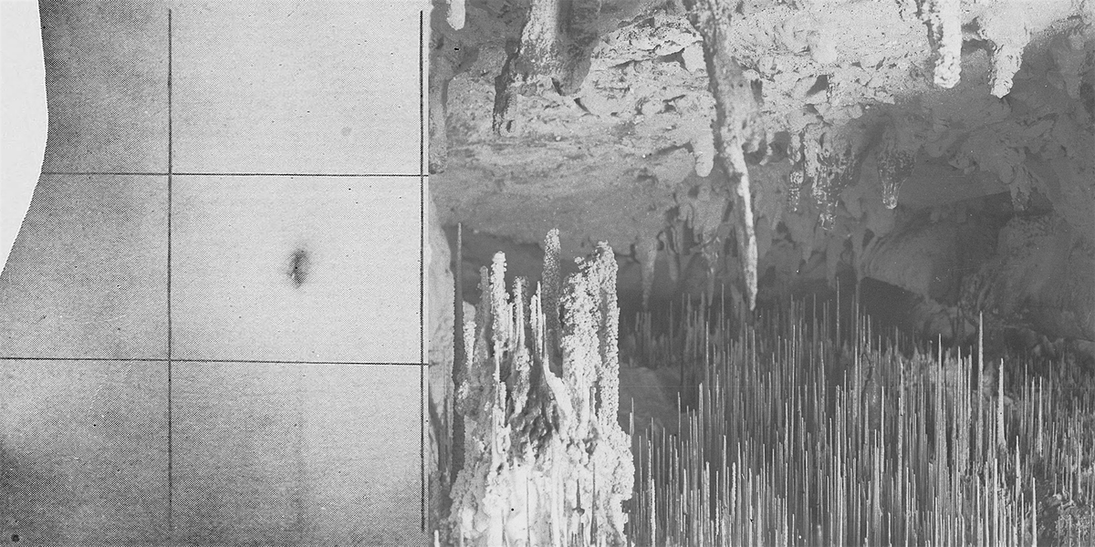 Workshop Tuning for relationships con Sofia Salvatori, 29 November | Event in Milano | AllEvents