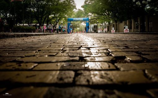 2022 Roar Through Ybor Centennial Park Ybor City Mango April 1 2022 Allevents In Park City Events April 2022