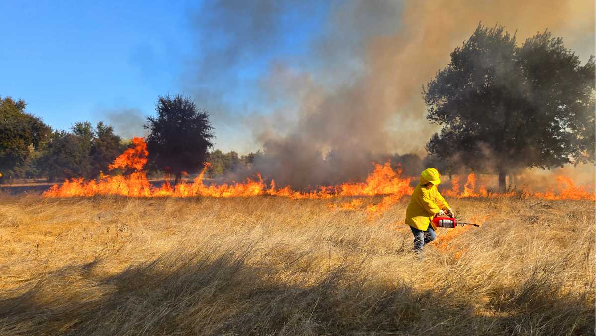 Burn Season at Decca Live, 19 December | Event in Jacksonville | AllEvents