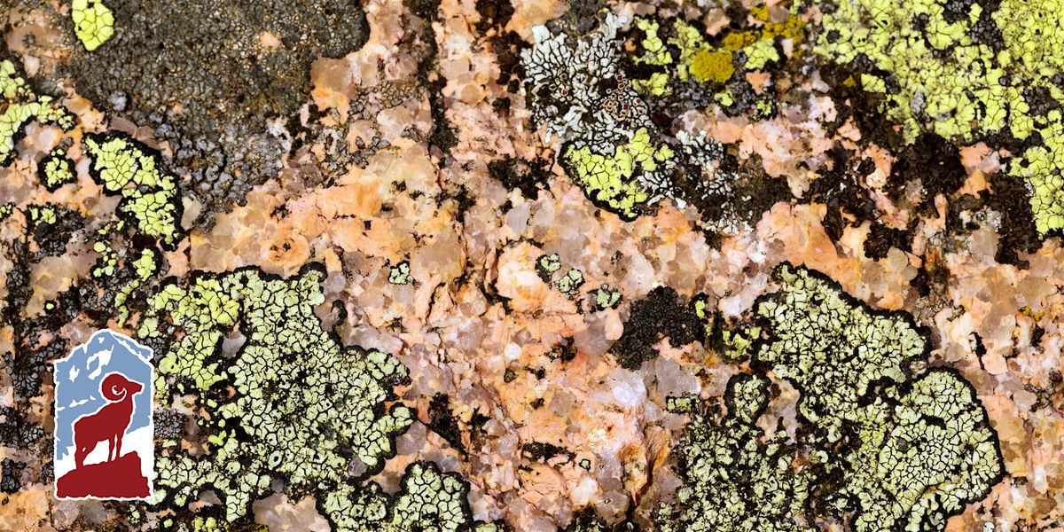 Lichens of Rocky Mountain National Park, 4 September | Event in Estes Park | AllEvents
