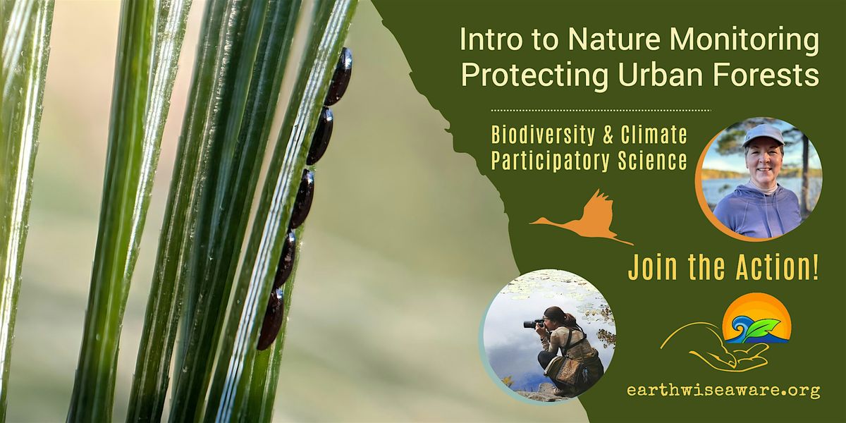 Introduction to Nature Monitoring – Protecting Urban Forests, 9 March | Event in Medford | AllEvents