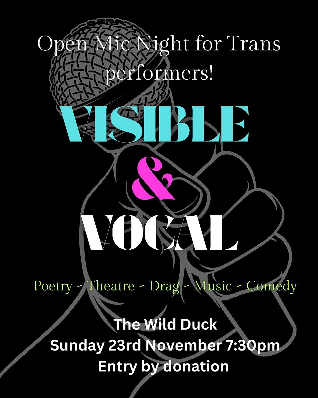 Visible & Vocal - An Open Mic Night for Trans Performers, 23 November | Event in Dublin 8 | AllEvents