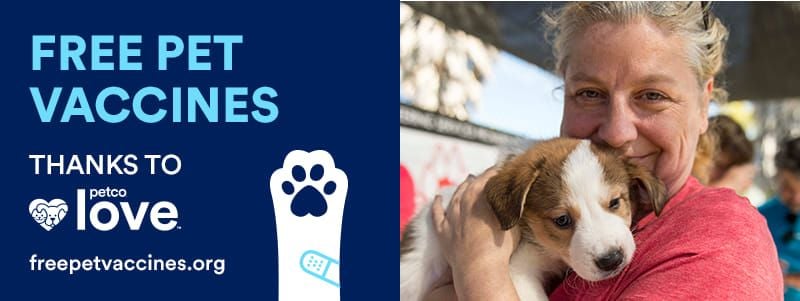 How Much Are Puppy Vaccinations At Petco FREE VACCINATION CLINIC THANKS TO PETCO LOVE (Dogs & Cats), Lubbock, TX