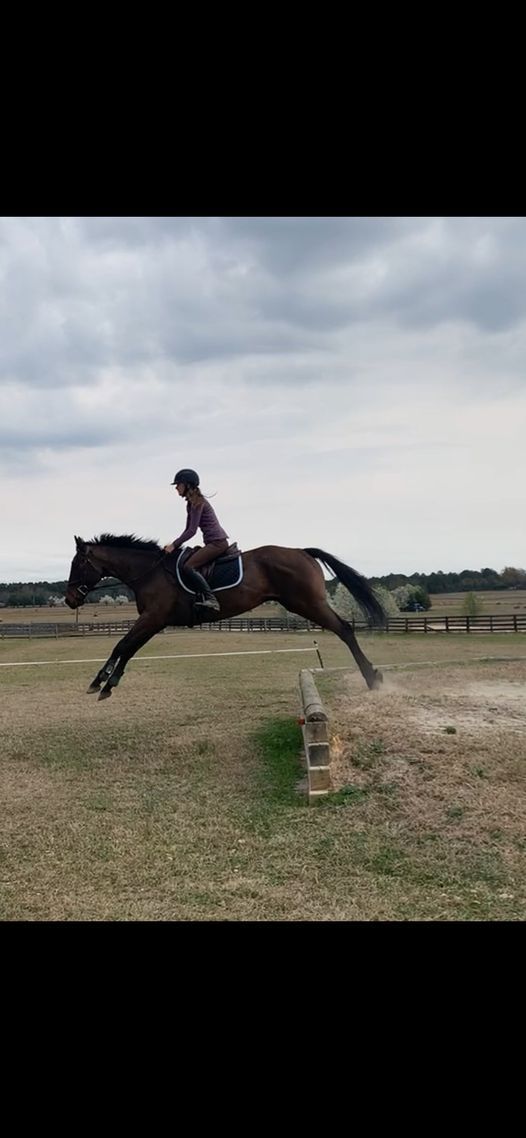 Things To Do In Aiken This Weekend August 20 22 2021 Aiken Bluegrass Festival 2022