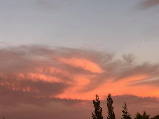 2022 Ione Homecoming Charles Howard Park Ione May 6 To May 7 Allevents In Howard Homecoming 2022 Events