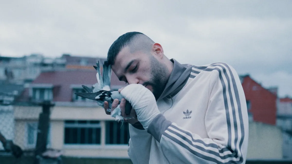 Mansur, ERAY067, Organize in, 24 December | Event in Adana | AllEvents