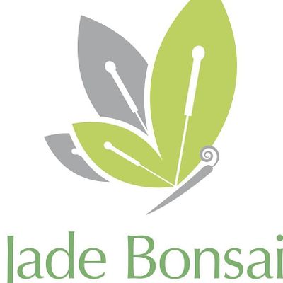 Jade Bonsai