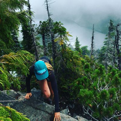 Peak Potential Coaching logo