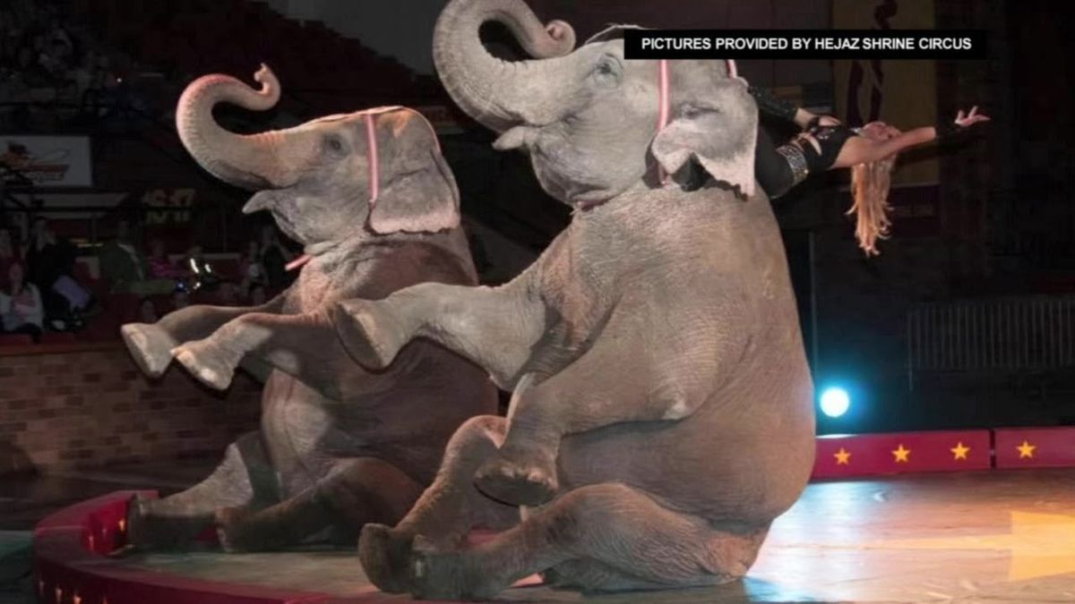 Hejaz Shrine Circus, The Theater at Spartanburg Memorial Auditorium AllEvents.in