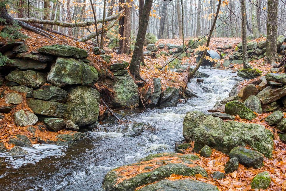 First Day Hikes 2025, Northwood Meadows State Park, Northwood Meadow State Park, January 1 2025