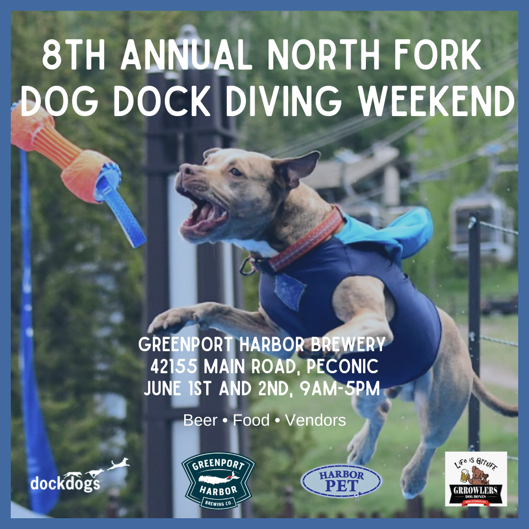 All Dogs at First Unitarian Church of Philadelphia, 26 June | Event in Philadelphia | AllEvents