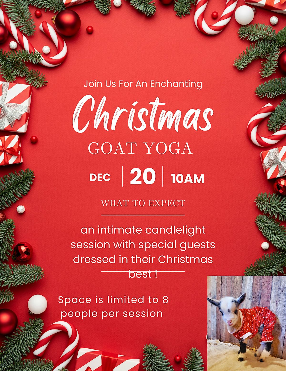 Christmas Goat Yoga, 20 December | Event in Hunlock Creek | AllEvents