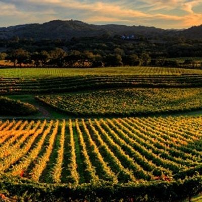 Taste Destination 128