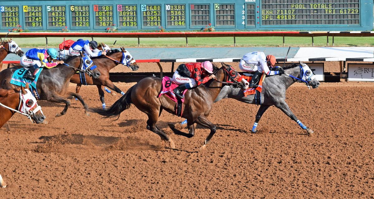 Ruidoso Live Racing at Ruidoso Downs Race Track | Event in Ruidoso Downs | AllEvents