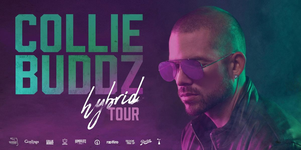 collie buddz wiki collie buddz wiki