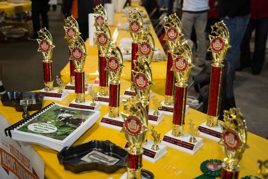 9th Annual Wi Grilled Cheese Championship 600 Bennett Rd Dodgeville Wi 53533 United States April 23 2022 Allevents In 2022 Cheese Championship