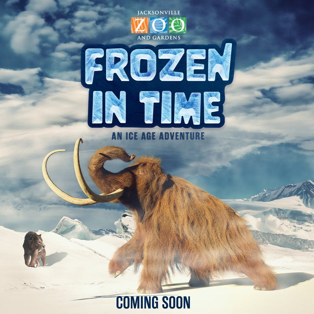 Frozen In Time Festival at Strummers, 6 September | Event in Fresno | AllEvents