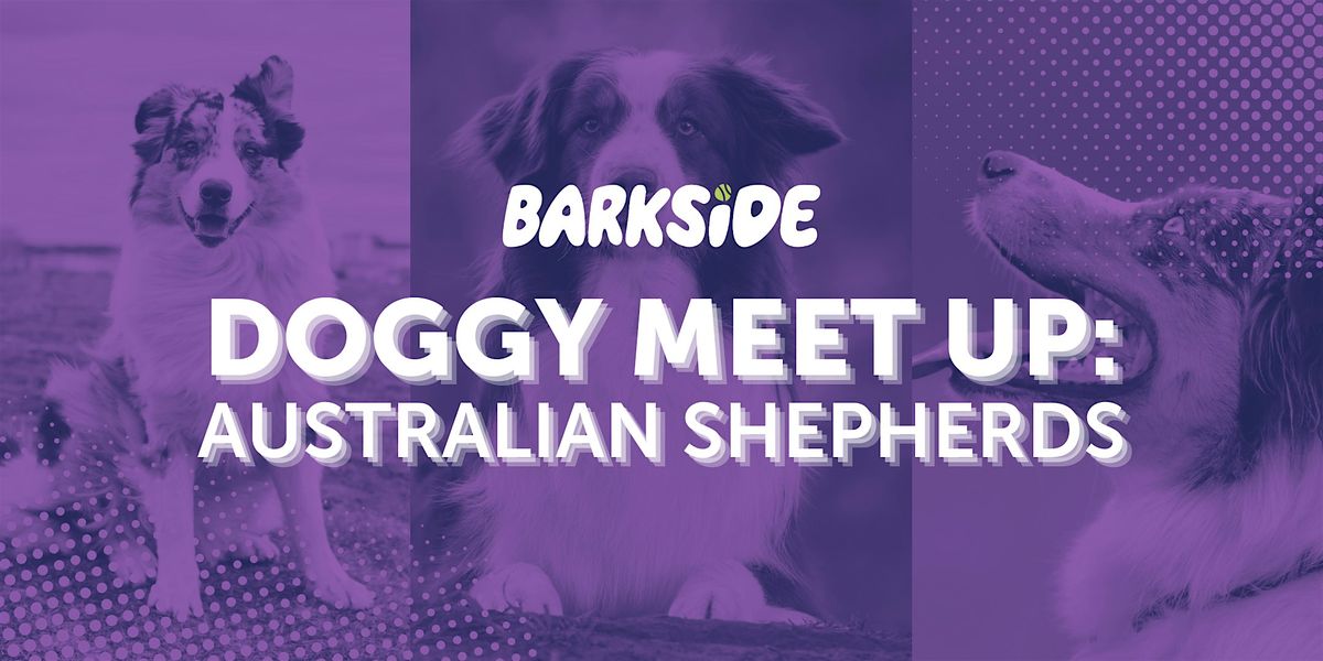 Mutt Meetup: Aussies, 13 December | Event in Detroit | AllEvents