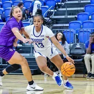 Parking Georgia State Panthers at James Madison Dukes Womens Basketball