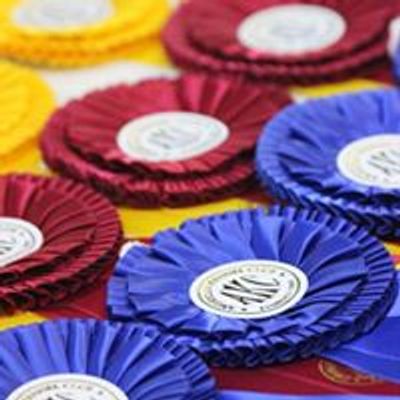 Companion Dog Training Club of Flint
