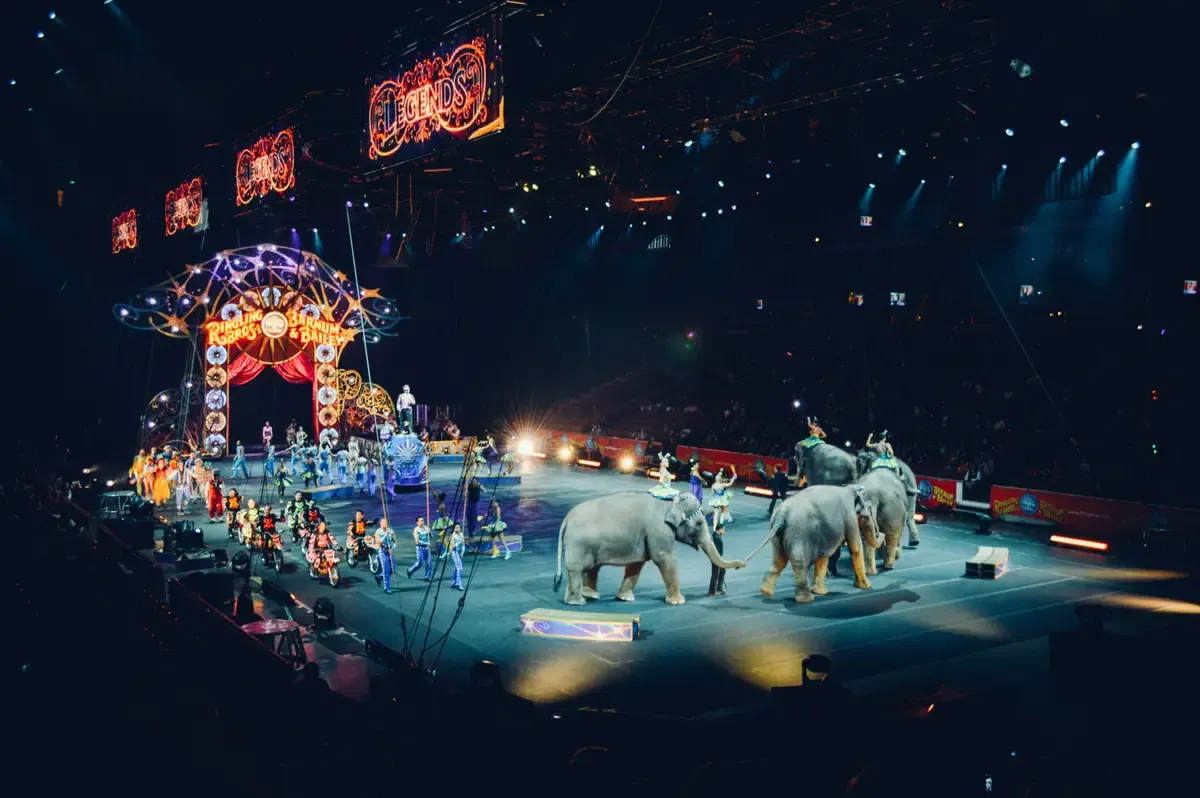 Big Apple Circus - Boston, 10 October | Event in Boston | AllEvents