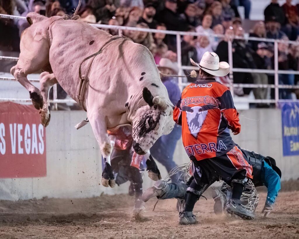 PRCA Xtreme Bulls, 15 July | Event in Salinas | AllEvents