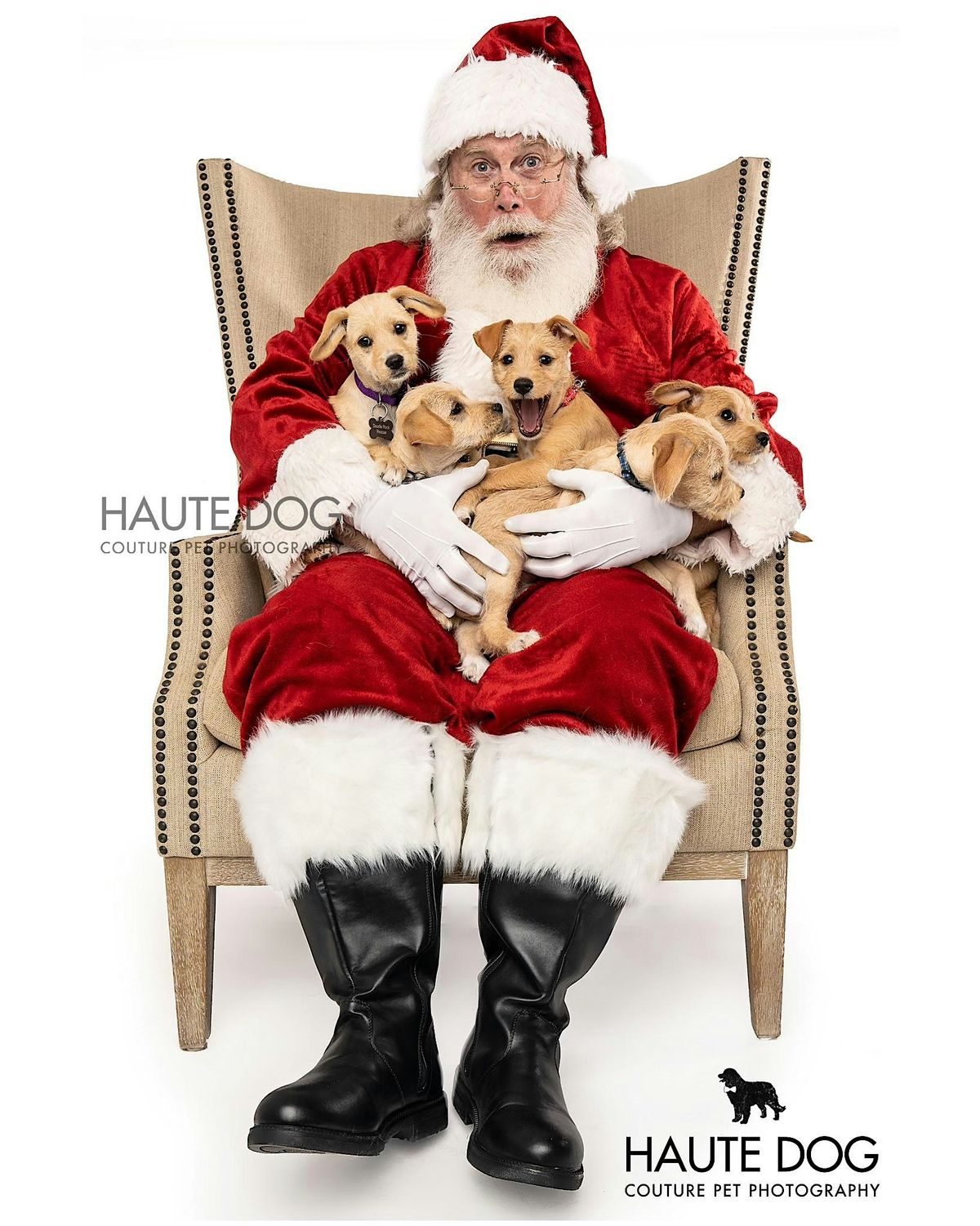 Santa Photos & Snow Play at Uptown Pup Dallas, 13 December | Event in Dallas | AllEvents