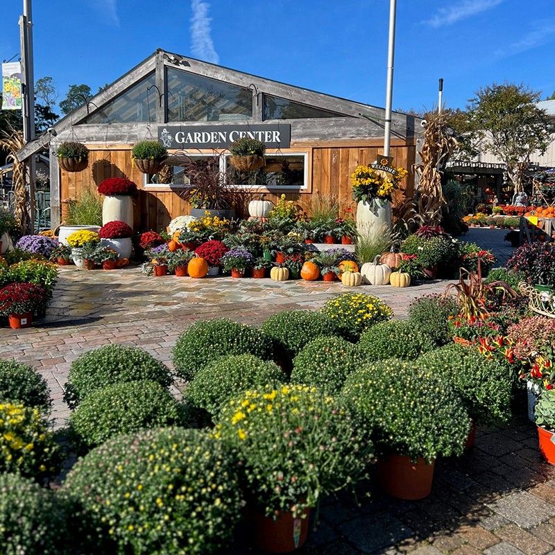 Reynolds Garden Center Appreciation Day!, Reynolds Garden Shop & Floral Market, Manahawkin, 21