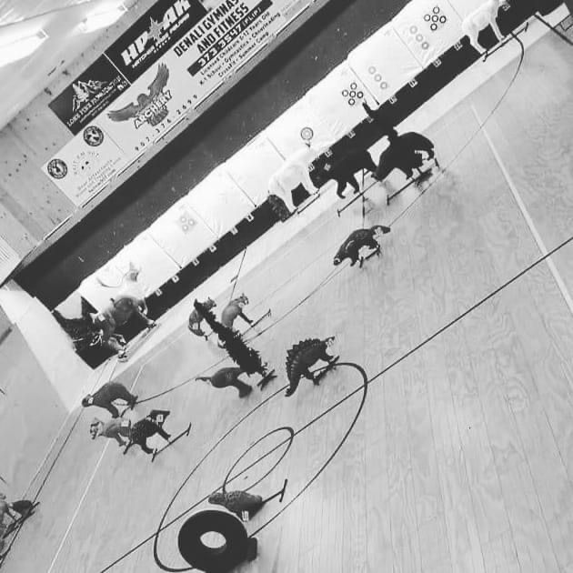 Wednesday Night 3D Shoot, Screaming Eagle Archery of Alaska, Wasilla
