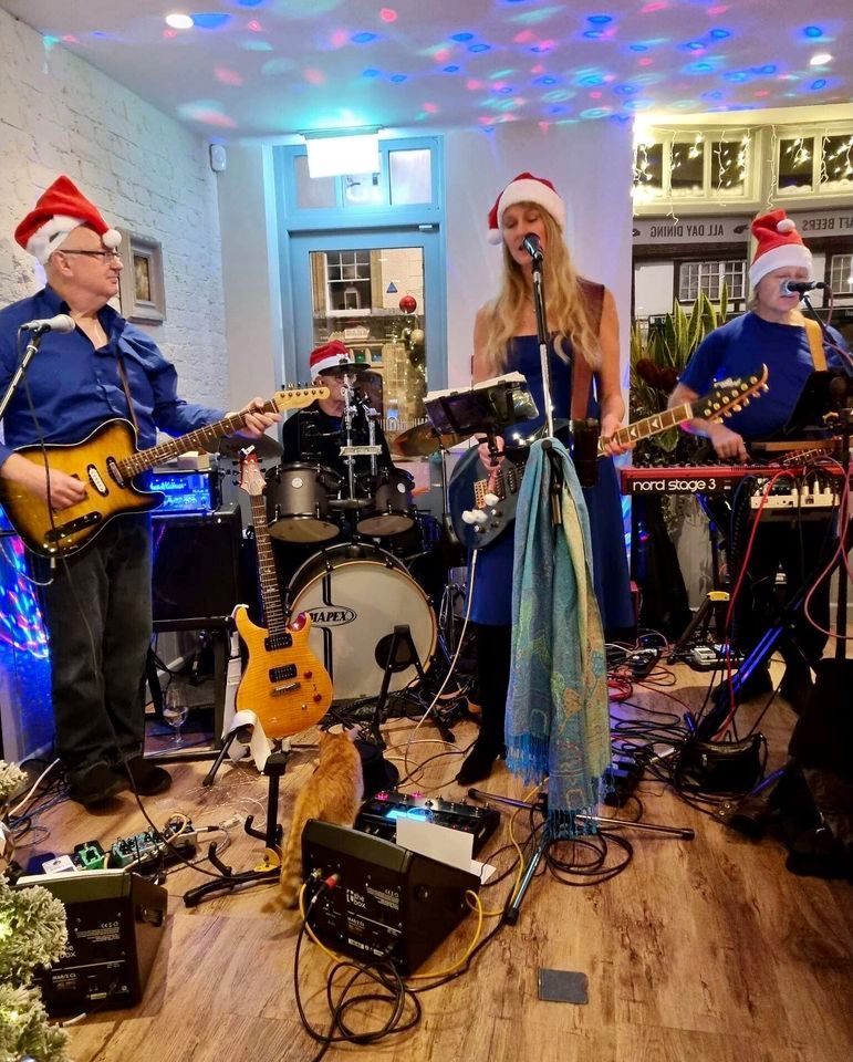 CANCELLED -Bluestone Bills live at The George, Alton with special guest ...