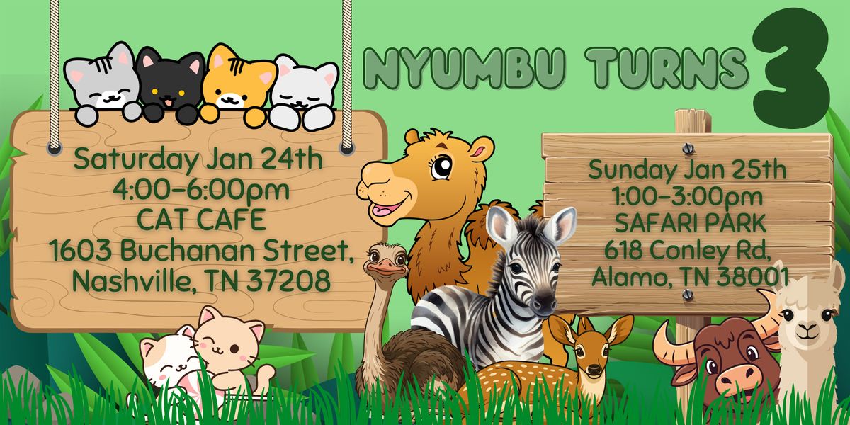 NYUMBU IS TURNING 3, 24 January | Event in Nashville | AllEvents
