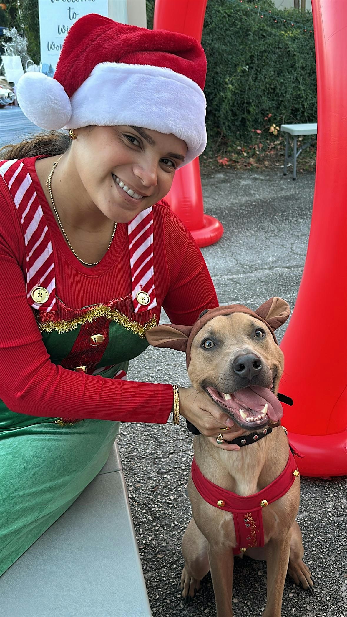 Winter WonderHaus Holiday Market, 14 December | Event in Orlando | AllEvents