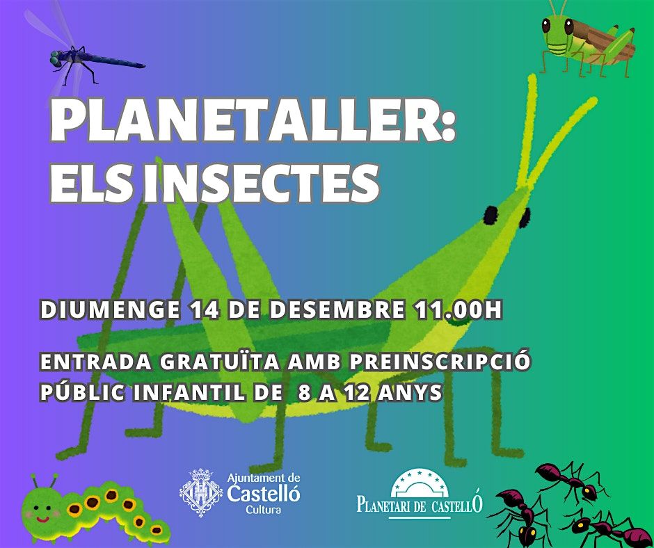 Planetari "ELS INSECTES", 14 December | Event in Grao | AllEvents