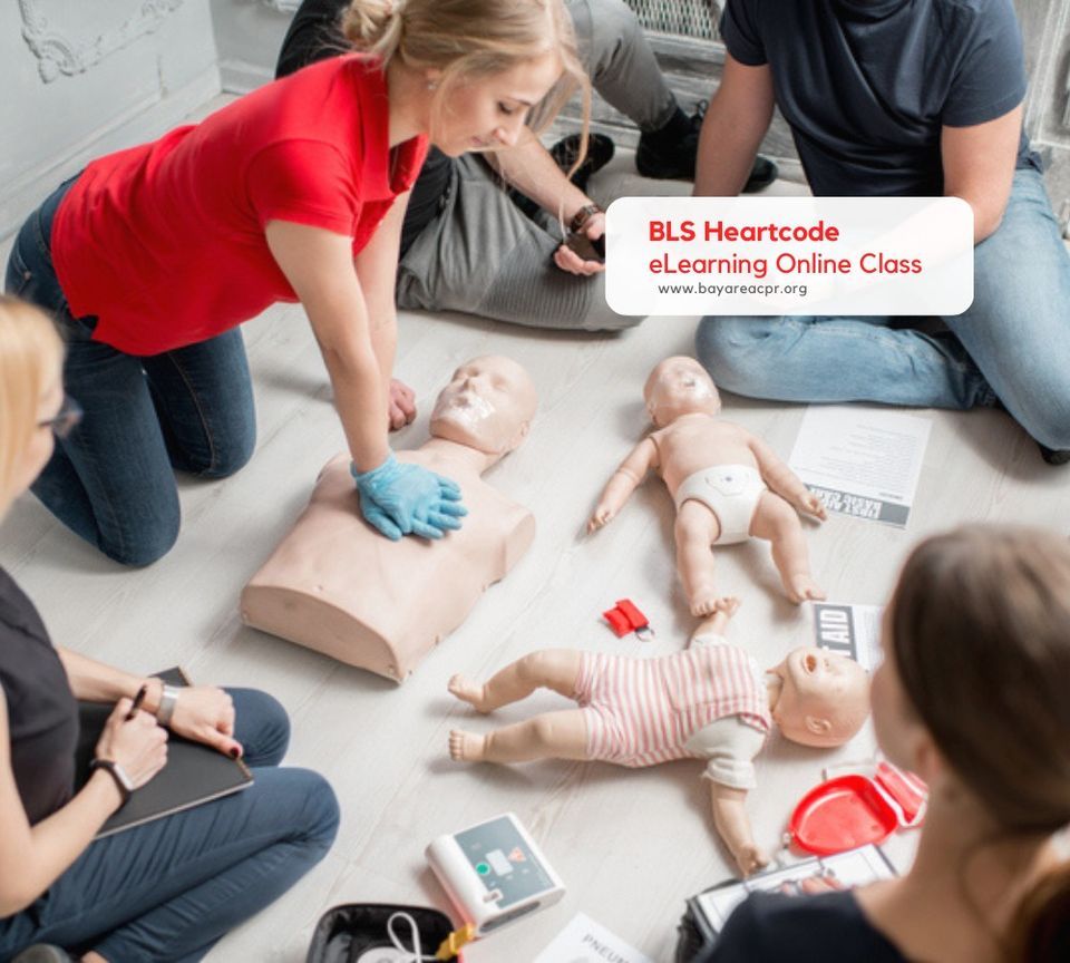 BLS Training in Walnut Creek, 2363 Boulevard Circle, Suite 18, Walnut ...