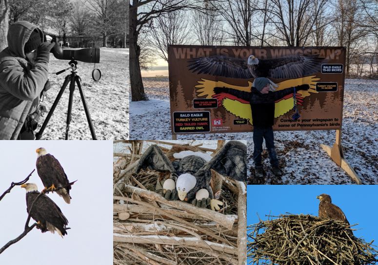 Shenango River Lakes Eagle Fest, Chestnut Run Swim Beach, Hermitage, 7