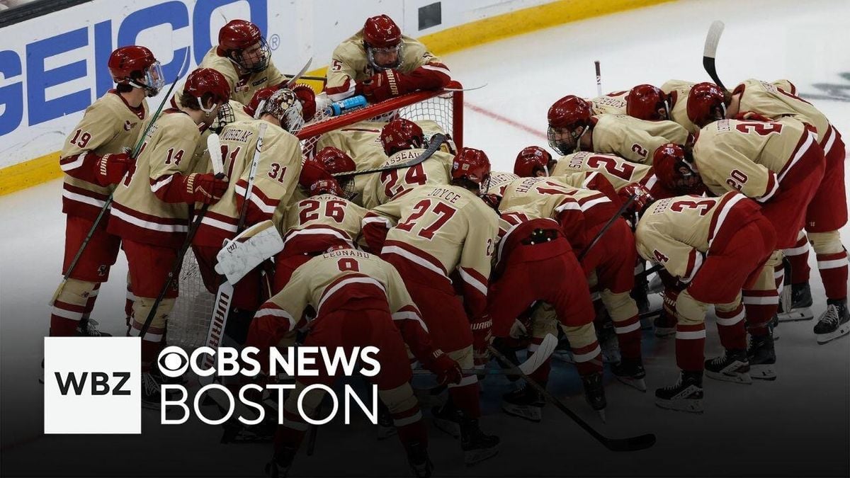 UMass Minutemen vs. Bentley Falcons, 17 October | Event in Amherst | AllEvents