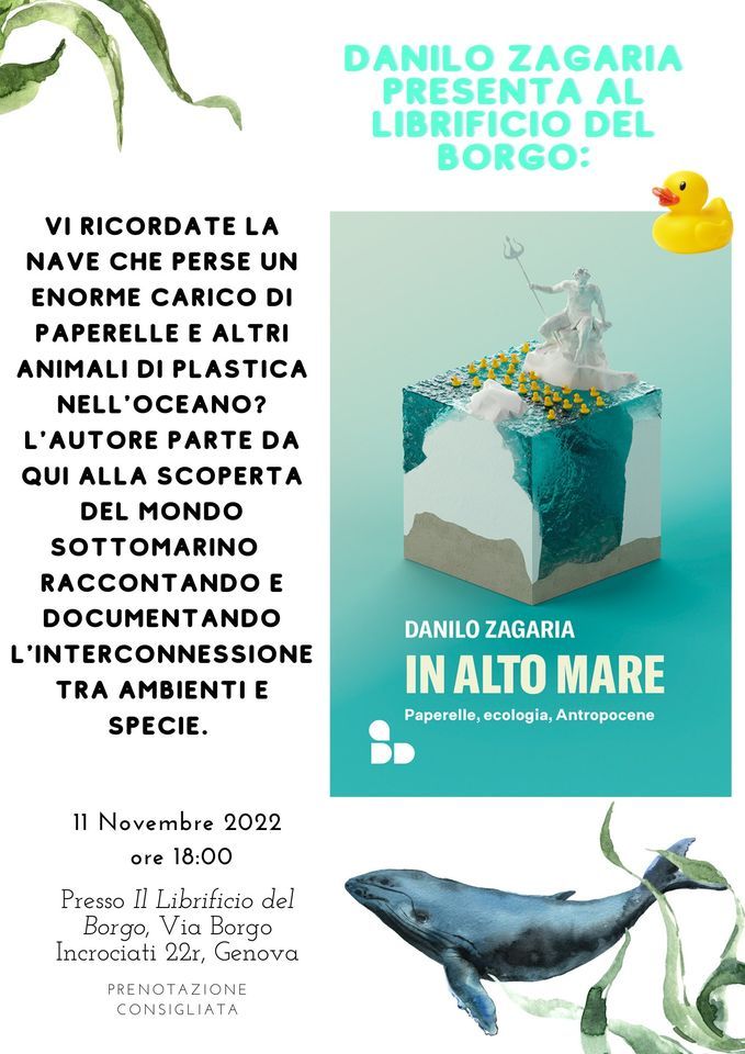 In Alto Mare Paperelle Ecologia Antropocene Presentazione Con 