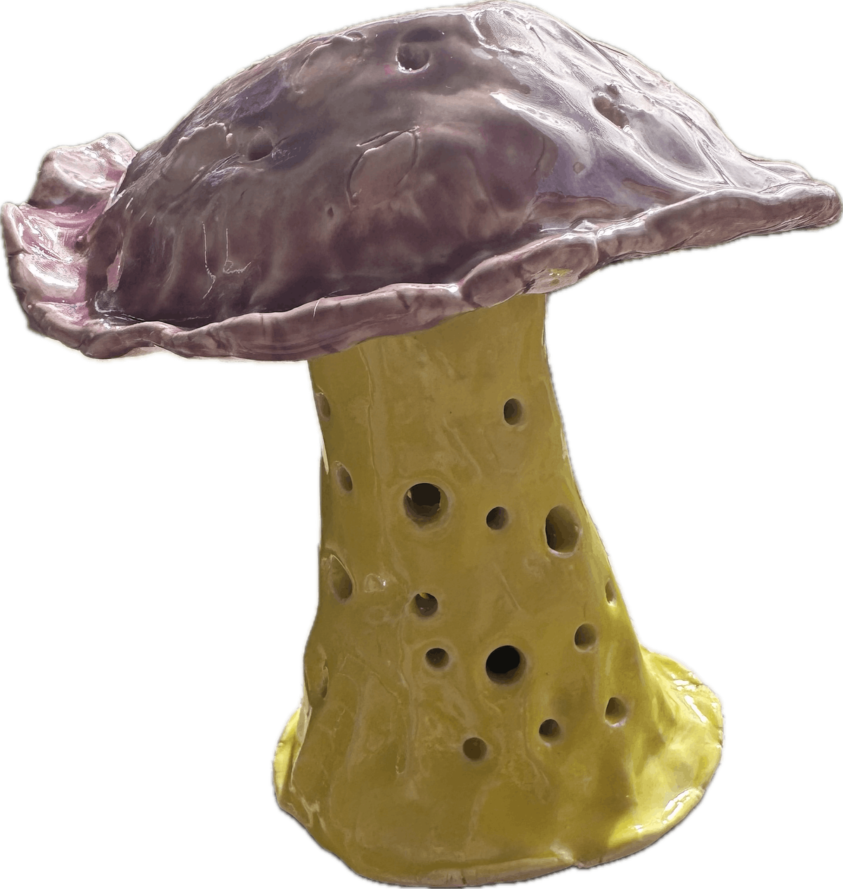 Clay Mushroom Class, 31 January | Event in Elkin | AllEvents